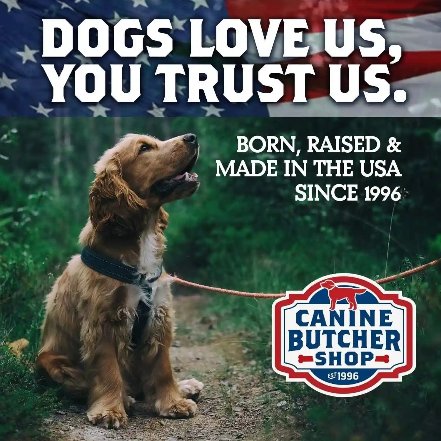 chicken-feet-dog-treats-raised-made-in-usa-30-pack-dehydrated-chicken-feet-all-natural-dog-chews-dog-snacks-crunchy-texture-naturally-dehydrated-rich-in-glucosamine-supports-joint-health-made-in-the-usa