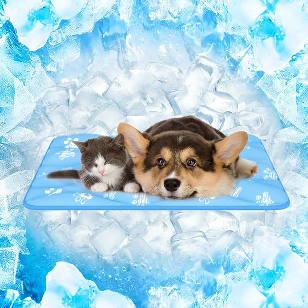 Rywell Super-Absorbent Cooling Mat for Dogs 44"X32" Arc-Chill 3.0 & Color-Changing Dog Cooling Mat, Stay Cool & Dry, Washable, Non-Slip Pet Bed Mat for Floors, Sofas, Kennels14