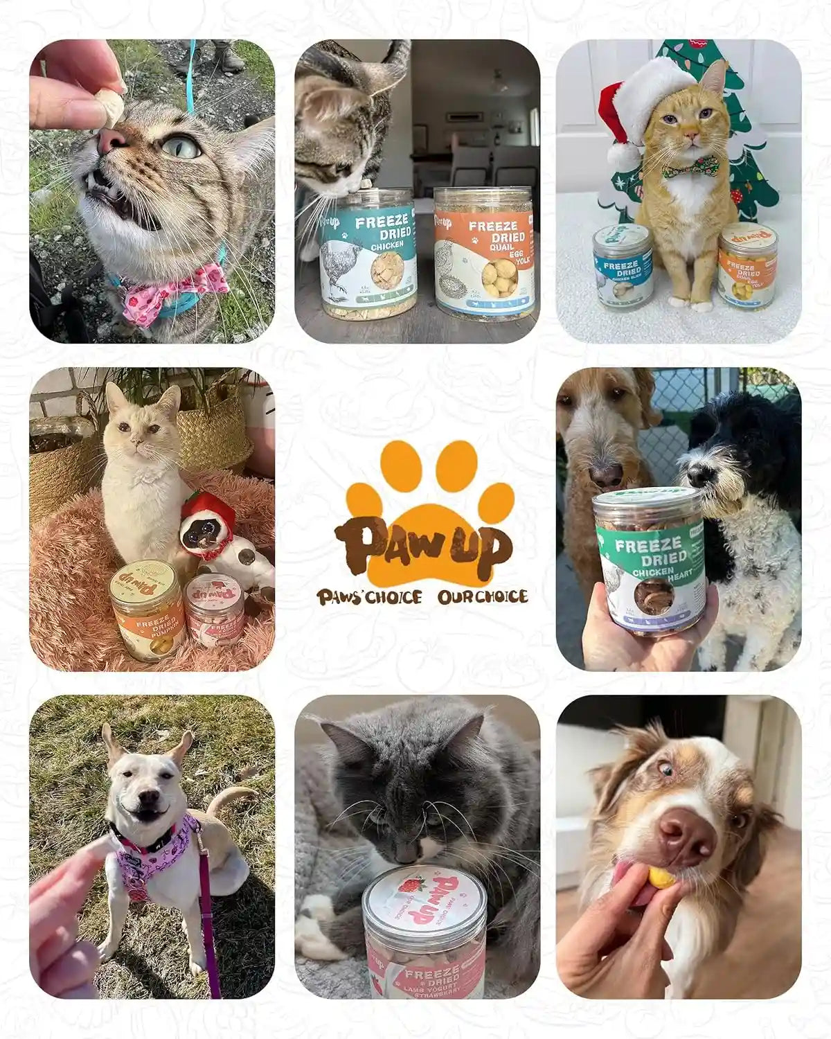 pawup-freeze-dried-quail-egg-yolk-pet-treats-freeze-dried-pet-food-for-dogs-cats-pure-fresh-ingredient-4-2-oz-rawhide-free-gluten-grain-free
