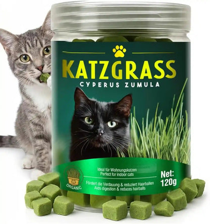 Cat Grass Treats for Indoor Cats, Crunchy Wheatgrass Snacks for Cats, 120G | Ready-To-Eat Wheatgrass Treats,Supports Natural Digestive Health & Hairball Passage,Grain-Free & Crunchy for Dental Care1