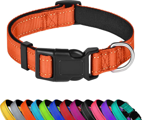 Reflective Dog Collar, Adjustable Soft Neoprene Padded,Teal,M | Breathable Nylon for Medium Dogs,Tear-Resistant Webbing,Chafe‑Free on Walks and Hikes,Metal D-Ring,Night Safety24