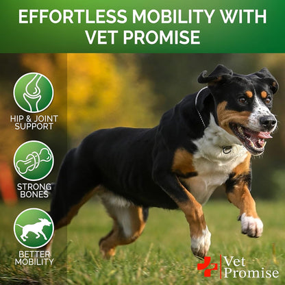Vet Promise Glucosamine for Dogs - Hip and Joint Supplement for Dogs - Glucosamine Chondroitin - Joint Pain Relief Pills - MSM - Advanced Health Support Supplement - 120 Mobility Chews - Made in USA4