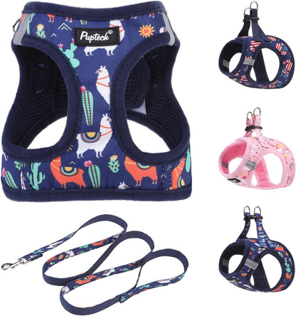 PUPTECK Dog Harness and Leash Set for Small Medium Dogs No Pull Step-In Soft Mesh Puppy Cat Vest Harnesses Reflective at Night, Green S34