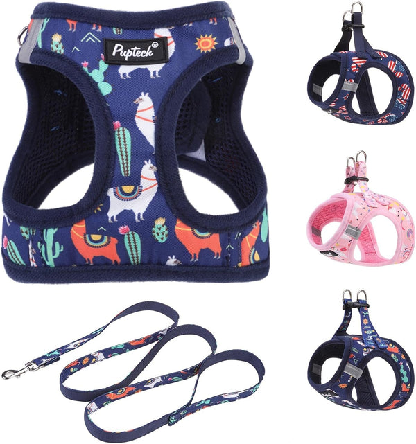 PUPTECK Dog Harness and Leash Set for Small Medium Dogs No Pull Step-In Soft Mesh Puppy Cat Vest Harnesses Reflective at Night, Green S34