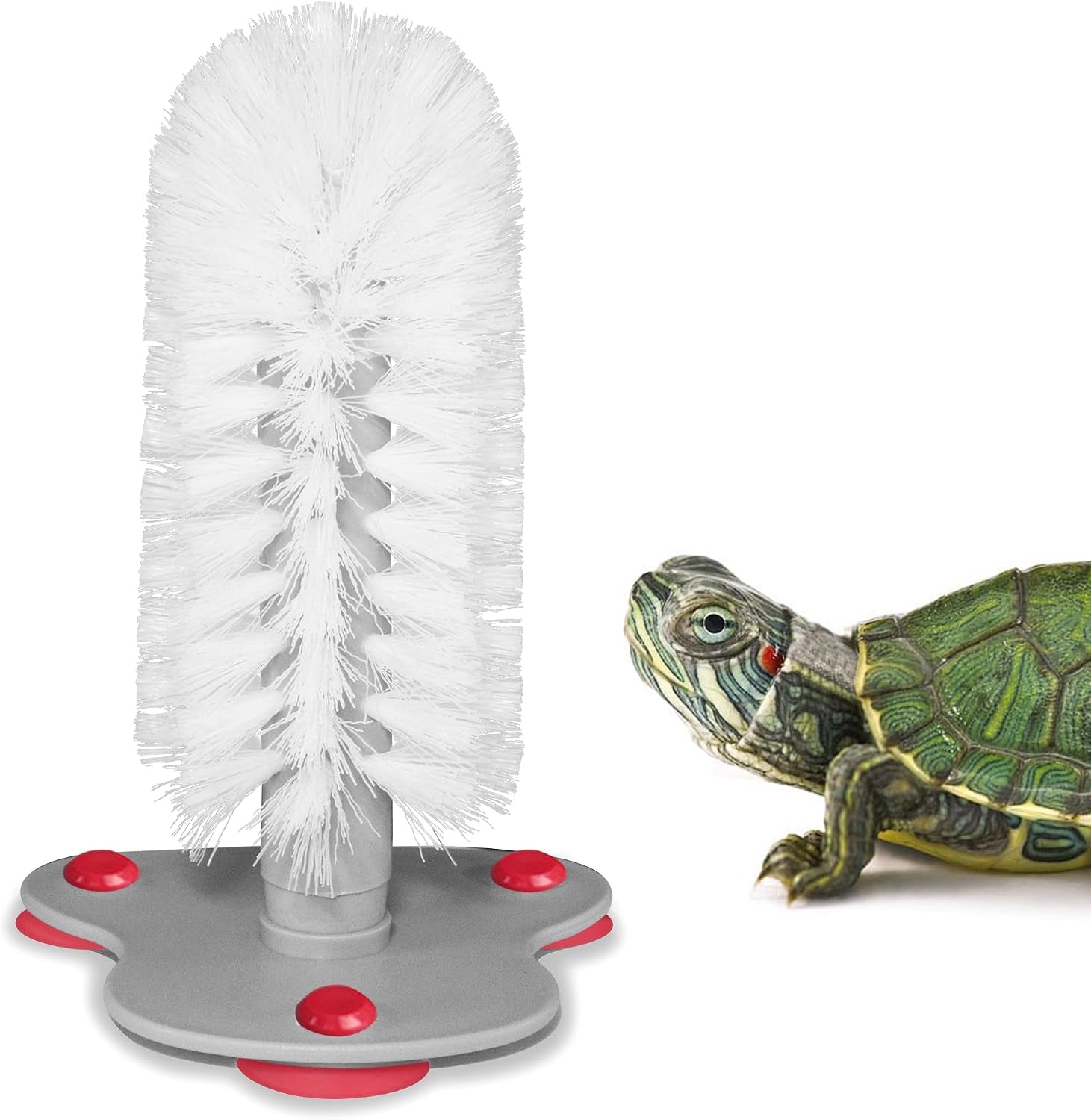 turtle-brush-with-suction-cup-for-tank-three-high-suction-power-suction-cup-turtle-shell-cleaning-brush-white