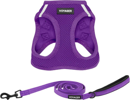 Best Pet Supplies Voyager Step-In Air All Weather Mesh Harness and Reflective Dog 5Ft Leash Combo with Neoprene Handle, for Small, Medium and Large Breed Puppies - Baby Blue, Small27