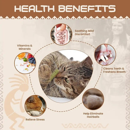 HUPA Cat Chew Sticks | Anxiety Relief & Digestive Support, Kitten Teething Chews, Cat Dental Chews | Natural Catnip Teething for Indoor Cats, Energetic Chew for All Ages & Breeds | 6 Sticks4