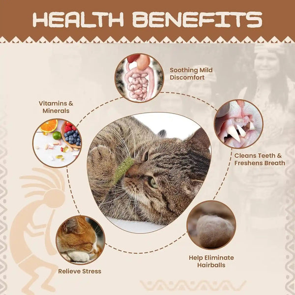 HUPA Cat Chew Sticks | Anxiety Relief & Digestive Support, Kitten Teething Chews, Cat Dental Chews | Natural Catnip Teething for Indoor Cats, Energetic Chew for All Ages & Breeds | 6 Sticks4