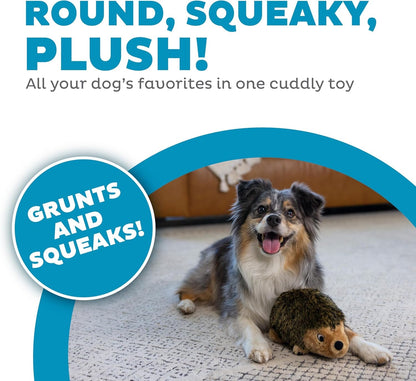 Outward Hound Hedgehogz Stuffed Dog Toy – Soft Plush Hedgehog, Grunts & Squeaks, Medium, 9" X 5" X 6.5"2