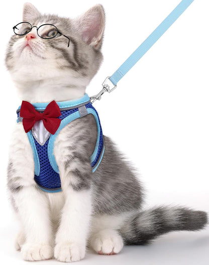 Cat Vest Harness and Leash Set, Escape Proof Kitten Harness Pink XS | Safe Reflective Strips, Adjustable Easy Wear Kitty Harness, Sturdy Clip Buckle, Breathable Mesh , for Kitty Puppy Bunny Walks14