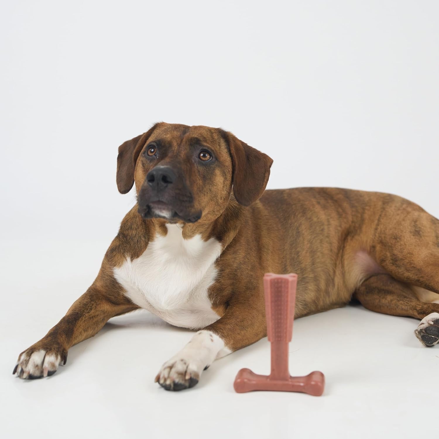 spot-bam-bones-plus-t-bone-bamboo-fiber-nylon-dog-chew-toy-for-moderate-to-aggressive-chewers-durable-long-lasting-non-splintering-beef-flavor-toy-for-adult-dogs-puppies-under-60-lbs-6-in