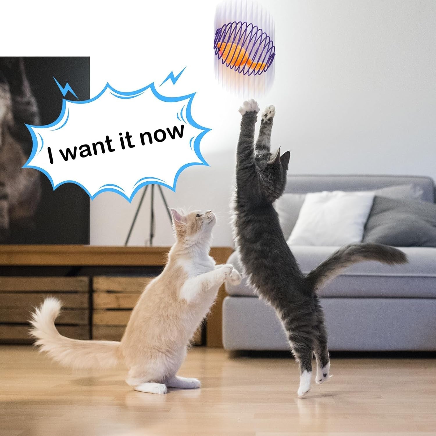 jecery-5-pcs-cat-toys-spring-mouse-multicolor-interactive-cat-toy-stretchable-rolling-ball-for-indoor-cats-colorful-playful-coils-kitten-pet-supplies