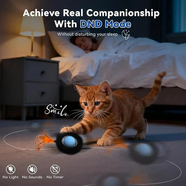 Interactive Cat Toy with Motion Activated Ball & 7-Hole Play Mat, Hide and Seek Exercise Game for Indoor Cats, Automatic Moving Cat Ball in Pouch, Rechargeable Kitten Toys (Starry Night)6