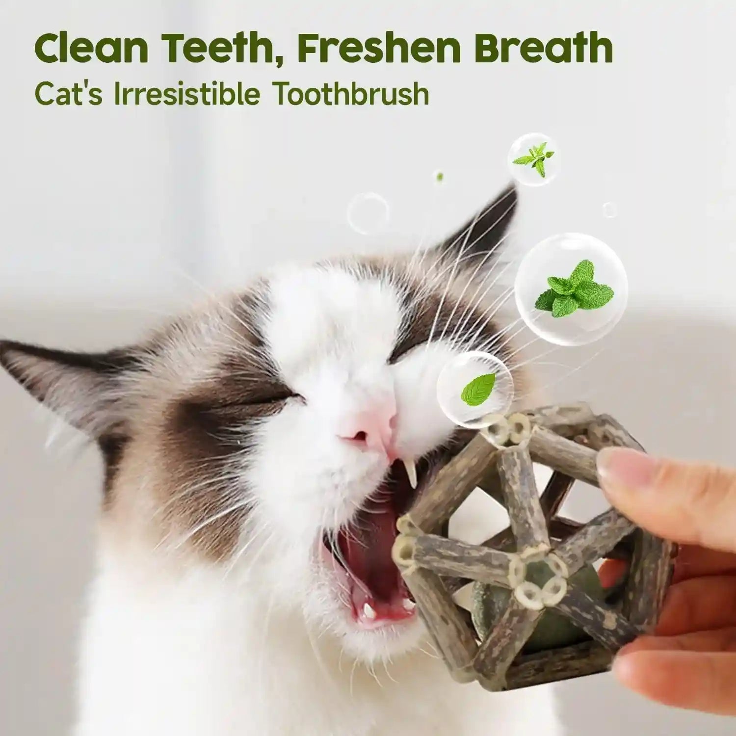 potaroma-catnip-toys-3pcs-cat-toys-natural-silvervine-stick-cage-balls-bell-ball-for-indoor-cats-kitten-cleaning-teeth-molar-matatabi-cat-chew-toy-all-breeds-kitten-cleaning-teeth-molar-matatabi-cat-chew-toy-for-indoor-cats-all-breeds-with-bell