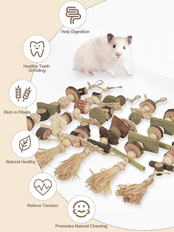 6PCS Hanging Bunny Chew Toys, Natural Apple Wood Rabbit Chews | Teeth Grinding & Dental Health, Small Animal Wooden Cage Toy for Guinea Pigs, Hamsters, Chinchillas, Ferrets, Rats, Gerbils3