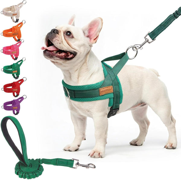 BEAUTYZOO Dog Harness No Pull, Quick Fit Dog Harness and Leash Set, Escape Proof Vest Harness with Soft Handle, Reflective Breathable Mesh Padding Harness for Medium Size Dog Training Walking, Beige M39