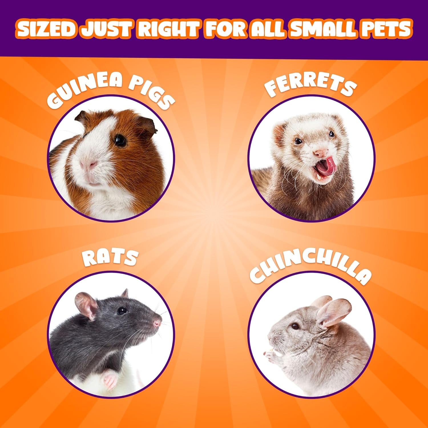 meric-cocoo-grinding-stone-for-small-pets-1-6x1-6x1-6-lava-rocks-trims-pet-teeth-smooths-claws-adds-calcium-to-diet-chew-toys-for-rabbits-chinchillas-hamsters-guinea-pigs-6pcs-per-pack