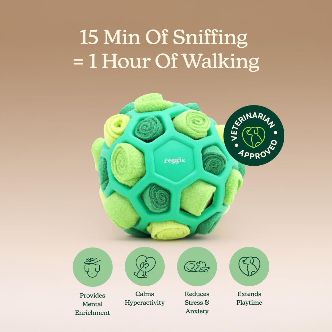 reggie-forager-ball-for-dogs-interactive-treat-dispensing-dog-enrichment-toys-reduces-boredom-stress-hyperactivity-snuffle-toys-for-dogs-durable-washable-dog-puzzle-toy