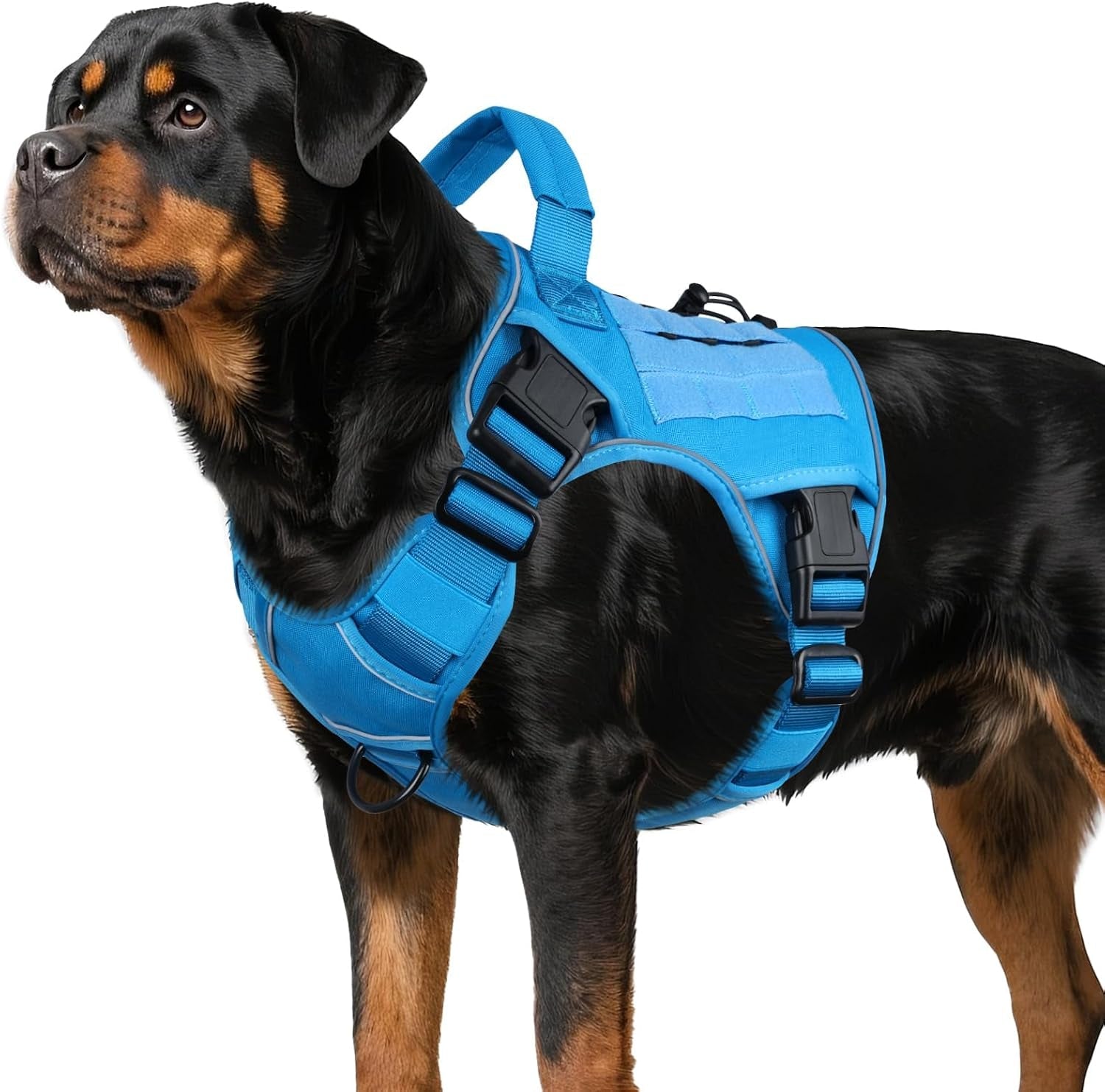 wingoin-tactical-dog-harness-for-large-dogs-heavy-duty-no-pull-dog-harness-with-handle-adjustable-reflective-military-k9-german-shepherd-big-size-dog-vest-for-walking-training-hunting-green-l-with-handle-adjustable-reflective-green-military-k9-style-big-size-dog-vest-for-german-shepherd-for-walking-training-hunting