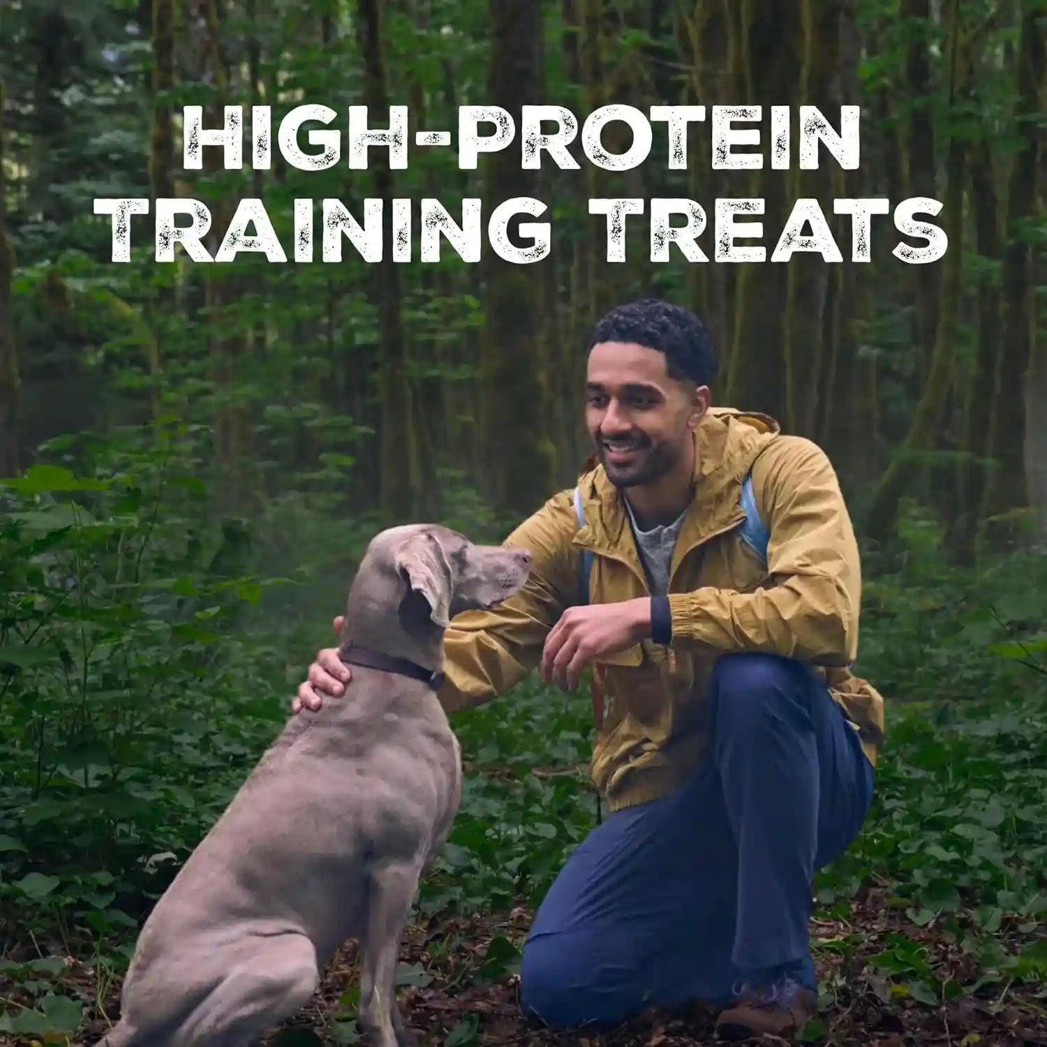 blue-buffalo-wilderness-trail-treats-salmon-crunchy-dog-biscuits-grain-free-high-protein-bite-sized-training-treats-made-with-real-salmon-natural-ingredients-10-oz-bag