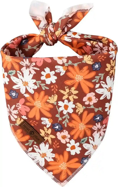 Lionet Paws Dog Bandana for Small Medium Large Dogs, Cat Kerchief Blue DOIT, Triangle Bibs Scarf for Girl or Boy44