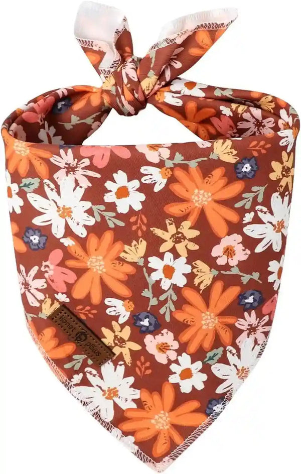 Lionet Paws Dog Bandana for Small Medium Large Dogs, Cat Kerchief Blue DOIT, Triangle Bibs Scarf for Girl or Boy44