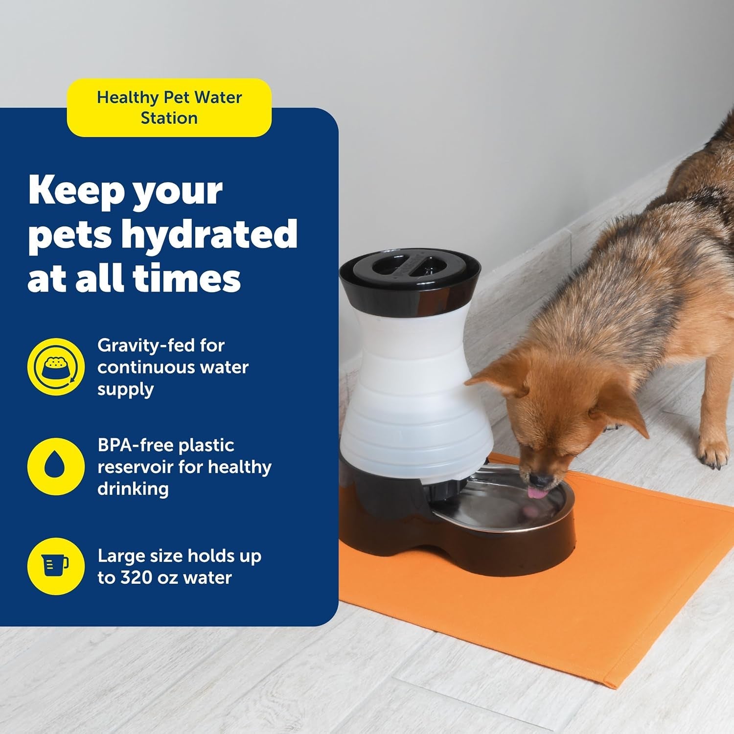 petsafe-healthy-pet-water-station-320-oz-stainless-steel-bowl-large-gravity-fed-pet-water-fountain-keeps-cats-or-small-dogs-hydrated-stainless-steel-bowl-is-dishwasher-safe