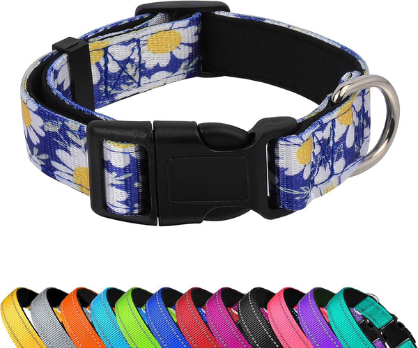 Reflective Dog Collar, Adjustable Soft Neoprene Padded,Teal,M | Breathable Nylon for Medium Dogs,Tear-Resistant Webbing,Chafe‑Free on Walks and Hikes,Metal D-Ring,Night Safety9