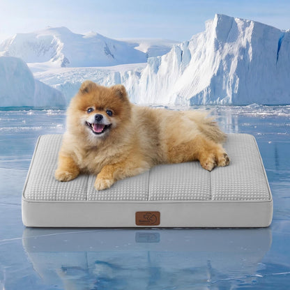 Bedsure Washable Dog Beds Large Sized Dog with Comfy Sherpa, 36X27In Grey | Orthopedic Egg Crate Foam,Comfort Support Flat Rectangle Pet Mat,Non-Slip Bottom,Removable Cover,For Large Breed up to 55 Lbs44