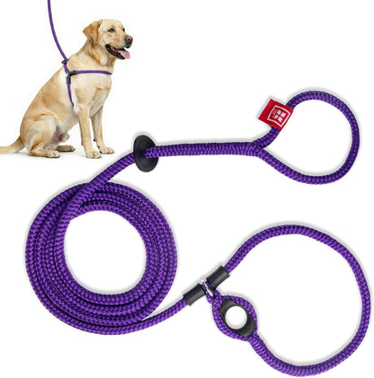 Harness Lead Escape Resistant, Reduces Pull Dog Harness, Medium/Large, Black23