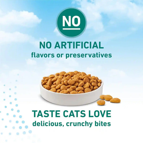 Purina ONE Liveclear Allergen-Reducing Cat Food Dry Formula with Real Chicken as the Number One Ingredient - 6.3 Lb. Bag9
