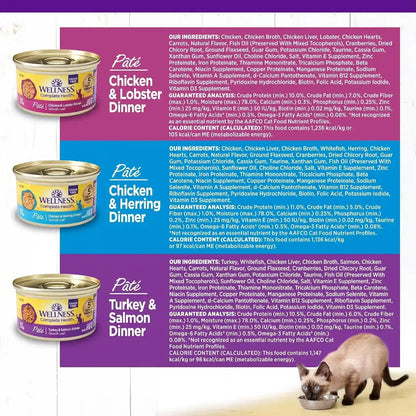 Wellness Complete Health Pate Variety Pack Adult Canned Wet Cat Food, Natural, Protein Rich, Grain Free, Seafood Favorites, 3 Oz, Pack of 24 Cans8