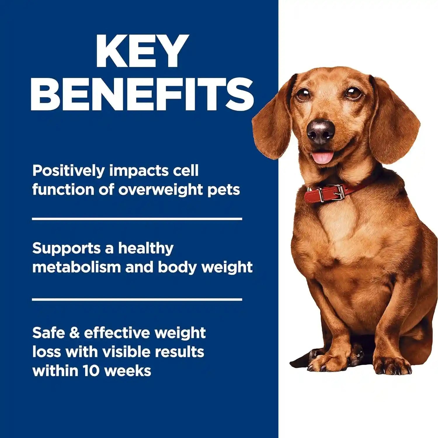 hills-science-diet-adult-perfect-weight-small-mini-dry-dog-food-1-veterinarian-recommended-chicken-recipe-4-lb-bag