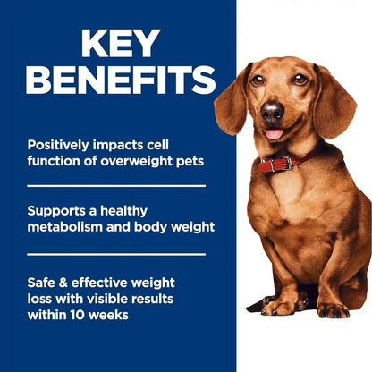 Hill'S Science Diet Adult Perfect Weight Small & Mini Dry Dog Food | #1 Veterinarian Recommended, Chicken Recipe, 4 Lb. Bag5