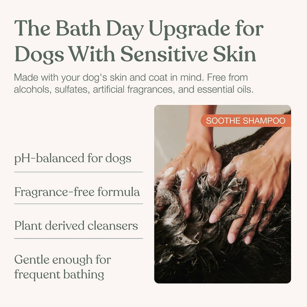 Dog Shampoo, Soothe Gentle Cleansing, Hydrating, Sensitive Skin, 16 Fl Oz | Dandylion Pet Shampoo, Fragrance Free, Ph Balanced, Plant Derived Formula for Dry Coats and All Coat Types, Dog Bath Supplies3