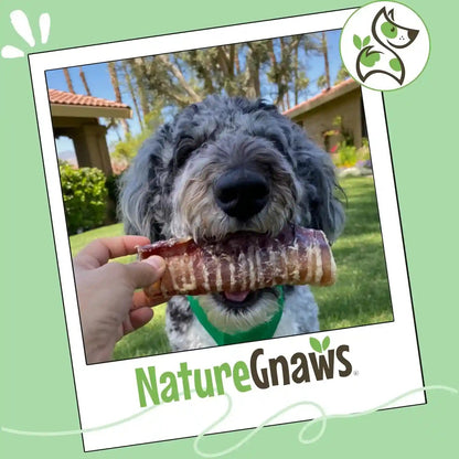 Nature Gnaws Beef Trachea Crunch Wraps for Dogs (3 Count) - Long Lasting Natural Beef Jerky Dog Chew Bones - Rawhide Free7