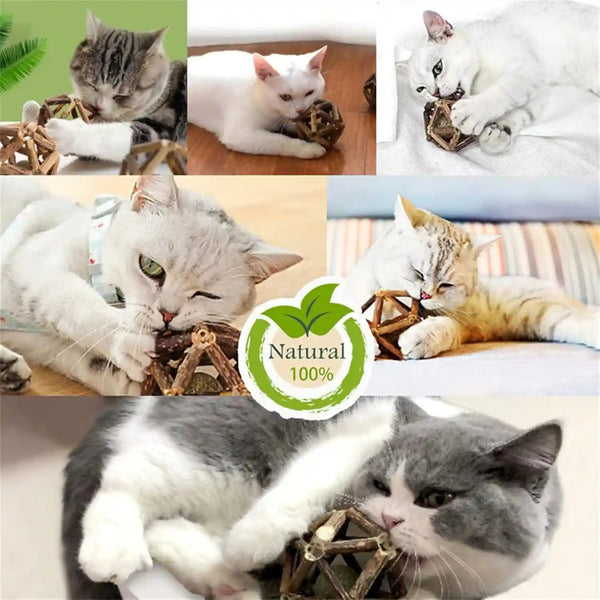 Gochanmon Catnip Toys-2Pcs Natural Silvervine Stick Catnip Ball&Bell Ball-Cat Toys for Indoor Cats- Cleaning Teeth Molar Tools Matatabi Cat Chew Toy-Kitten Toys All Breeds7