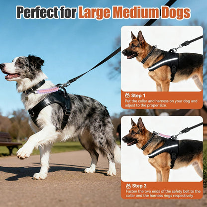 Dog Collar Safety Clip with Dual Clasps,Handmade Backup Safety Strap for Dog Harness, Collars and No Pull Harness Connectors (Pink & Light Purple)2
