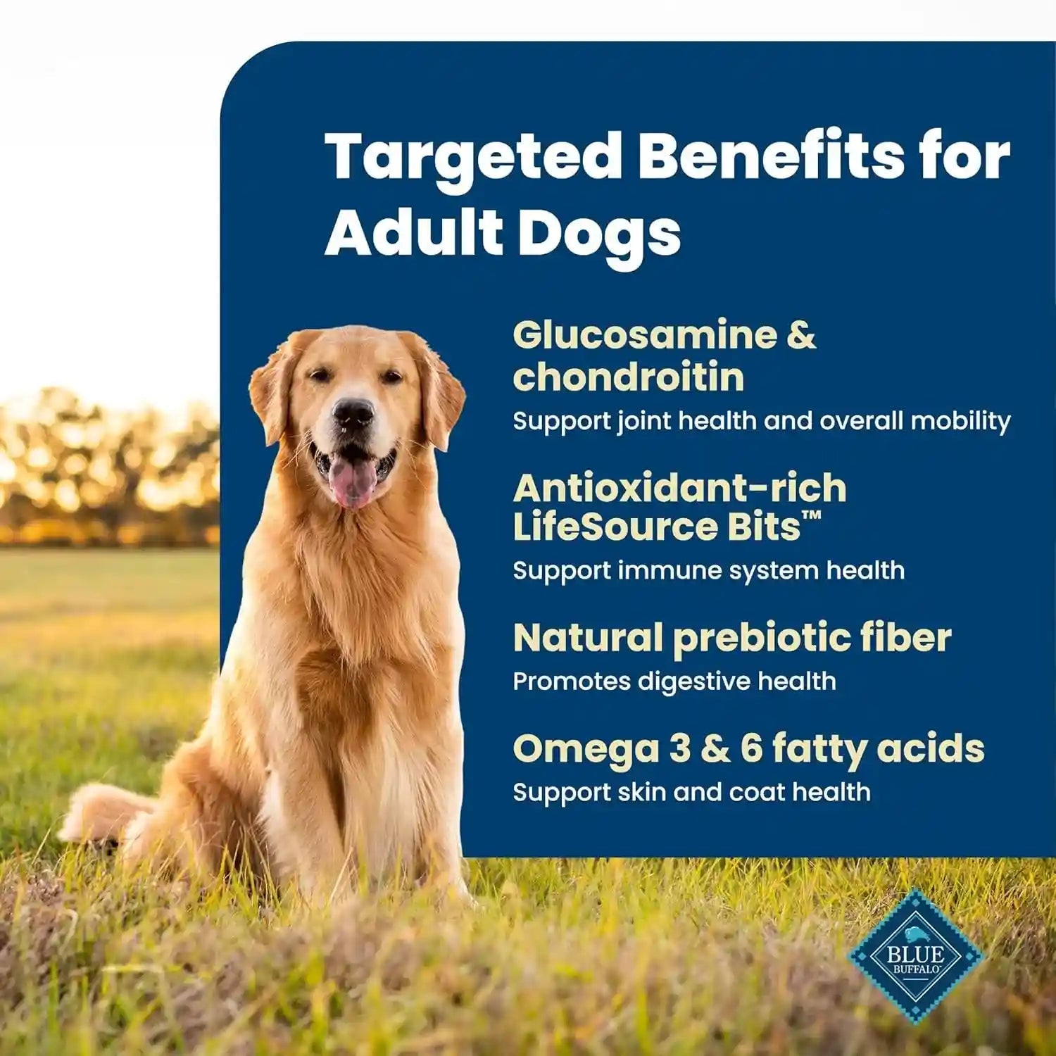 blue-buffalo-life-protection-formula-chicken-adult-dry-dog-food-5-lb