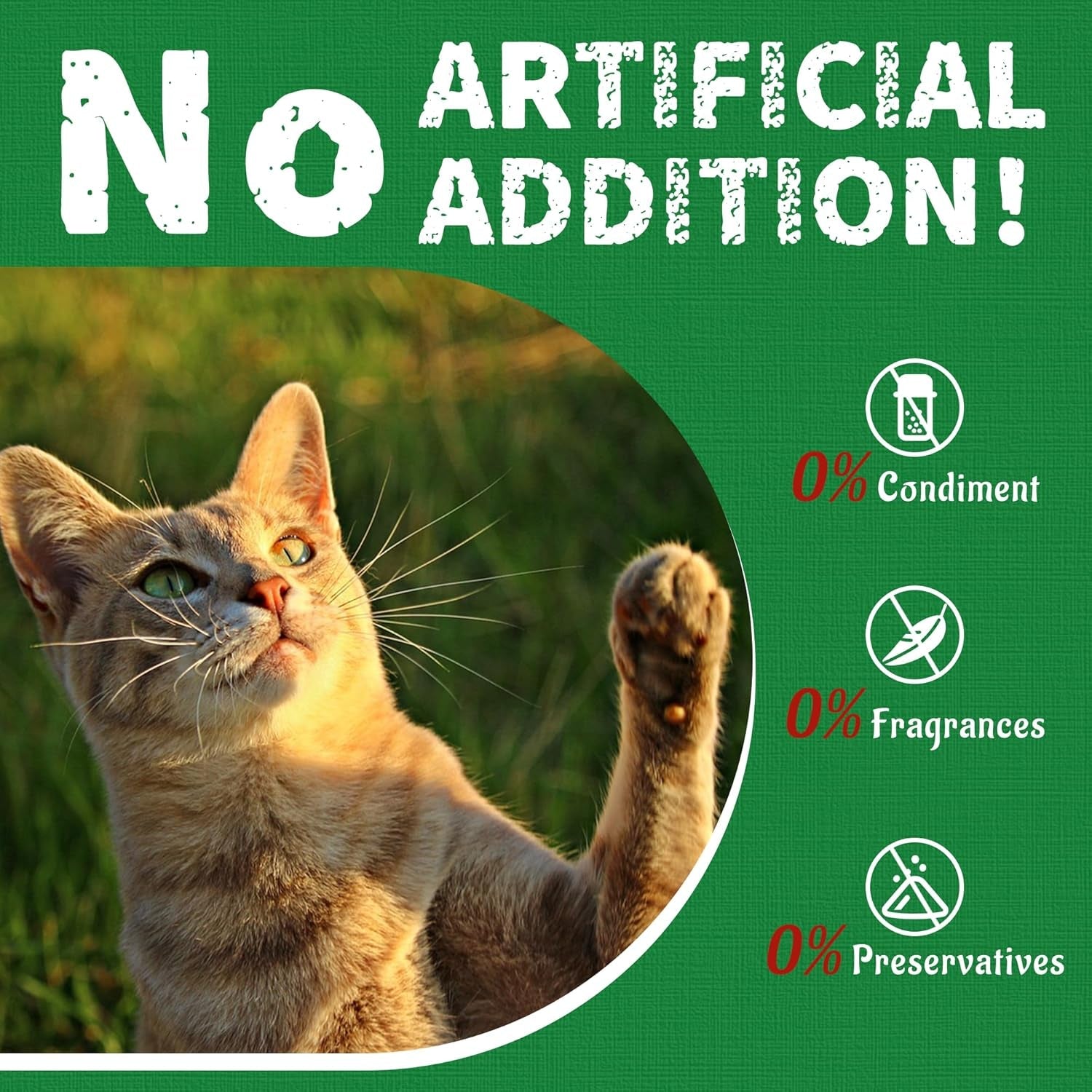 just-try-cat-treats-for-indoor-cats-hairball-control-natural-salmon-healthy-cat-grass-treats-kitten-snacks-training-biscuits-catnip-for-cats-dental-care-13-4-oz