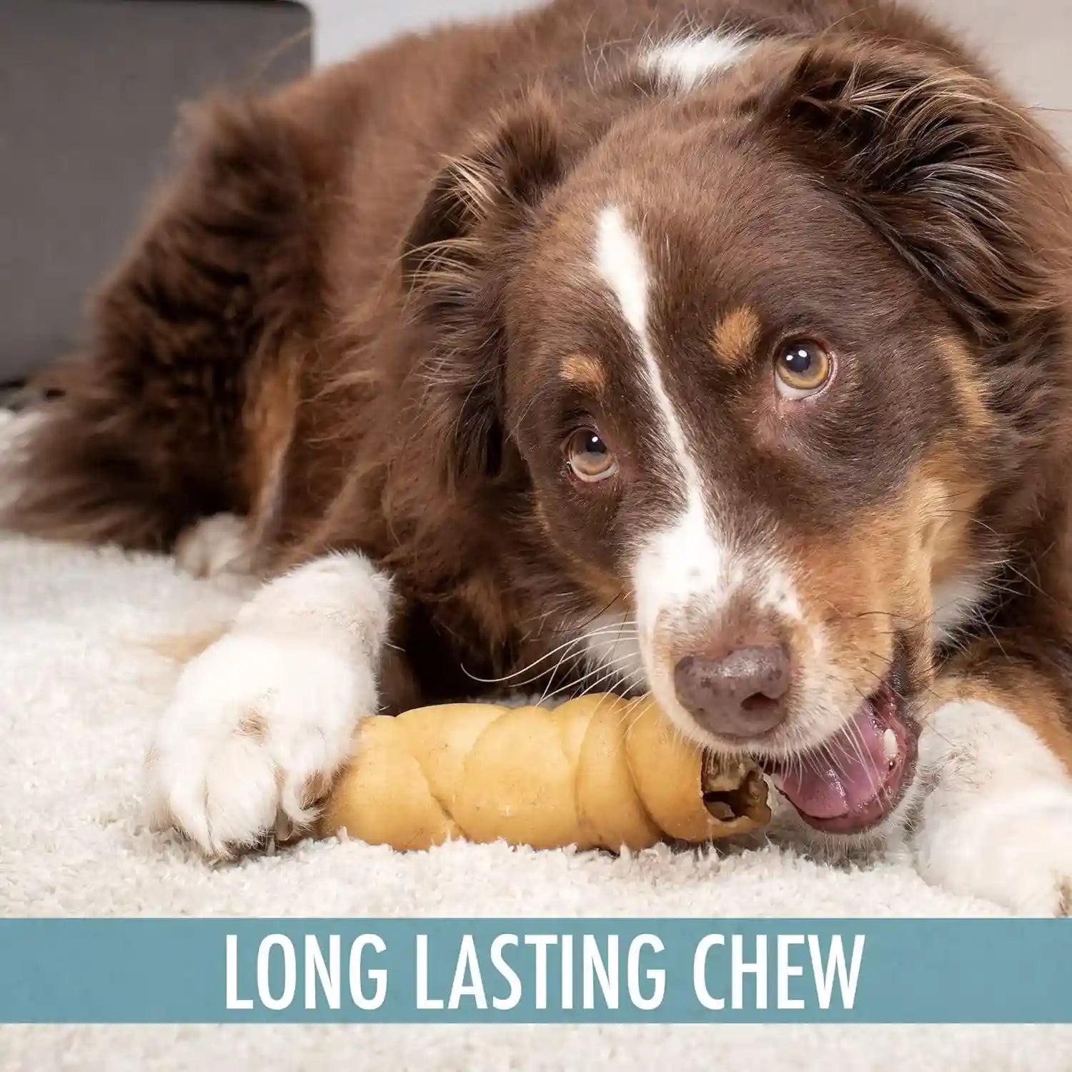 wild-eats-water-buffalo-retriever-style-cheek-rolls-dog-chews-pack-of-5-long-lasting-treats-and-bones-for-aggressive-gnawing-and-large-sized-breeds-works-as-a-satisfying-substitute-for-pig-ears