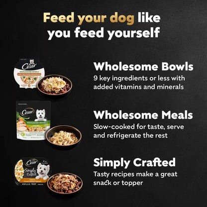 Cesar Wholesome Bowls Wet Dog Food, Chicken Recipe, 3 Oz, 10 Count | Real Chicken #1 Ingredient, Slow-Cooked, 7 Key Ingredients, No By-Products or Artificial Flavors, Easy to Digest9