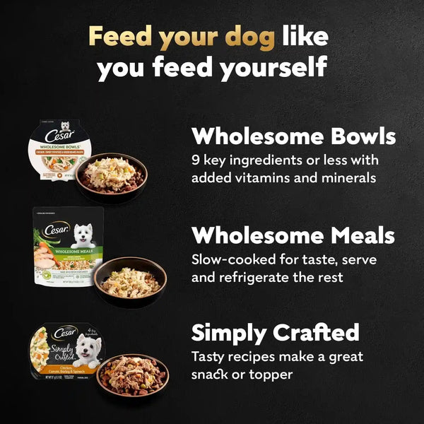 Cesar Wholesome Bowls Wet Dog Food, Chicken Recipe, 3 Oz, 10 Count | Real Chicken #1 Ingredient, Slow-Cooked, 7 Key Ingredients, No By-Products or Artificial Flavors, Easy to Digest9