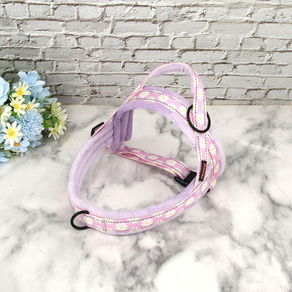 Didog No Pull Dog Harness for Small Medium Dogs, Floral Print, Purple, S | Soft Flannel Padded, Quick Fit, Easy on and Off, Night Safty, Adjustable & Reflective for Walking and Training, Chest 19-22"7