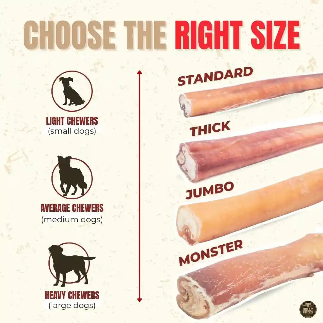 bully-bunches-premium-6-standard-5-pack-odor-free-bully-sticks-for-small-to-medium-dogs-puppies-consistently-sized-long-lasting-chews-for-oral-care-all-natural-100-beef-dog-treats