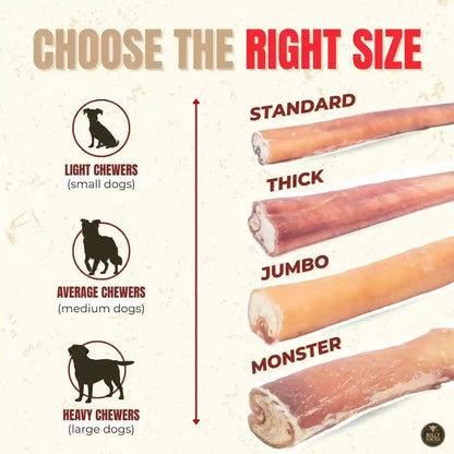Bully Bunches Premium (6" Standard - 5 Pack) Odor-Free Bully Sticks for Small to Medium Dogs & Puppies - Consistently Sized, Long Lasting Chews for Oral Care - All Natural, 100% Beef Dog Treats6