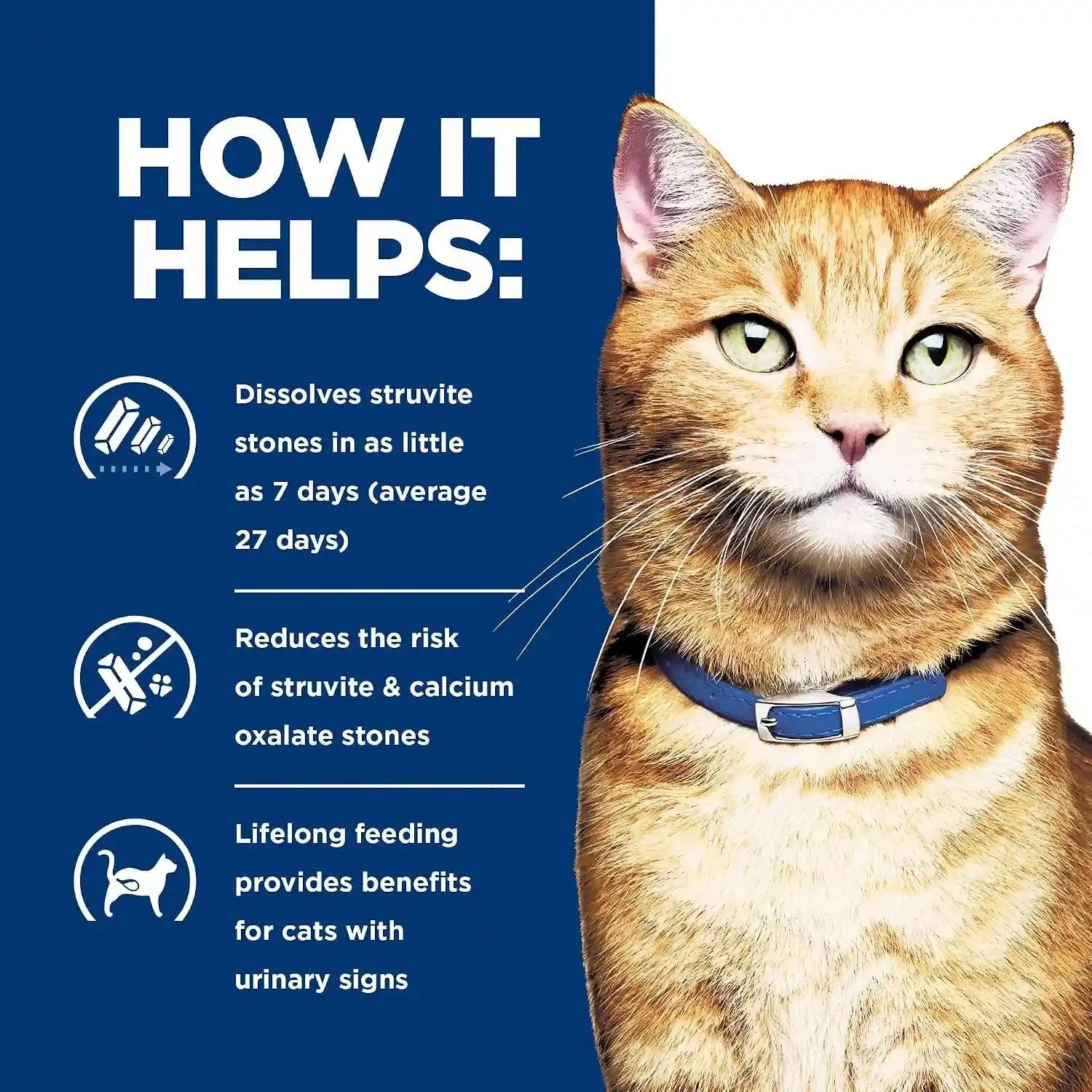 hills-prescription-diet-c-d-multicare-urinary-care-dry-cat-food-1-veterinarian-recommended-chicken-recipe-4-lb-bag