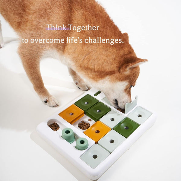 Barkwhiz Dog Puzzle Toy 3 Levels, Mental Stimulating for Boredom and Smart Dogs, Treat Puzzle for All Breeds Dog6