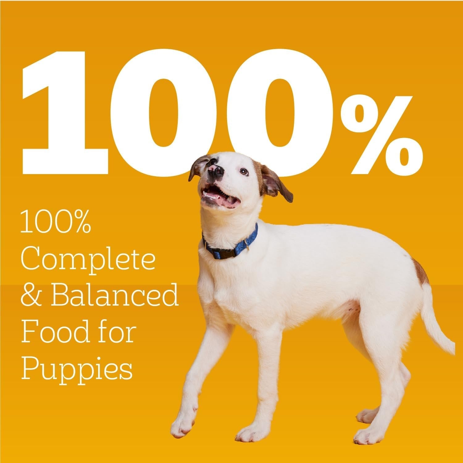 pedigree-puppy-chopped-wet-dog-food-chicken-beef-13-2-oz-12-count-100-complete-balanced-for-puppies-dha-for-brain-development-rich-in-calcium-for-teeth-bones-chicken-beef