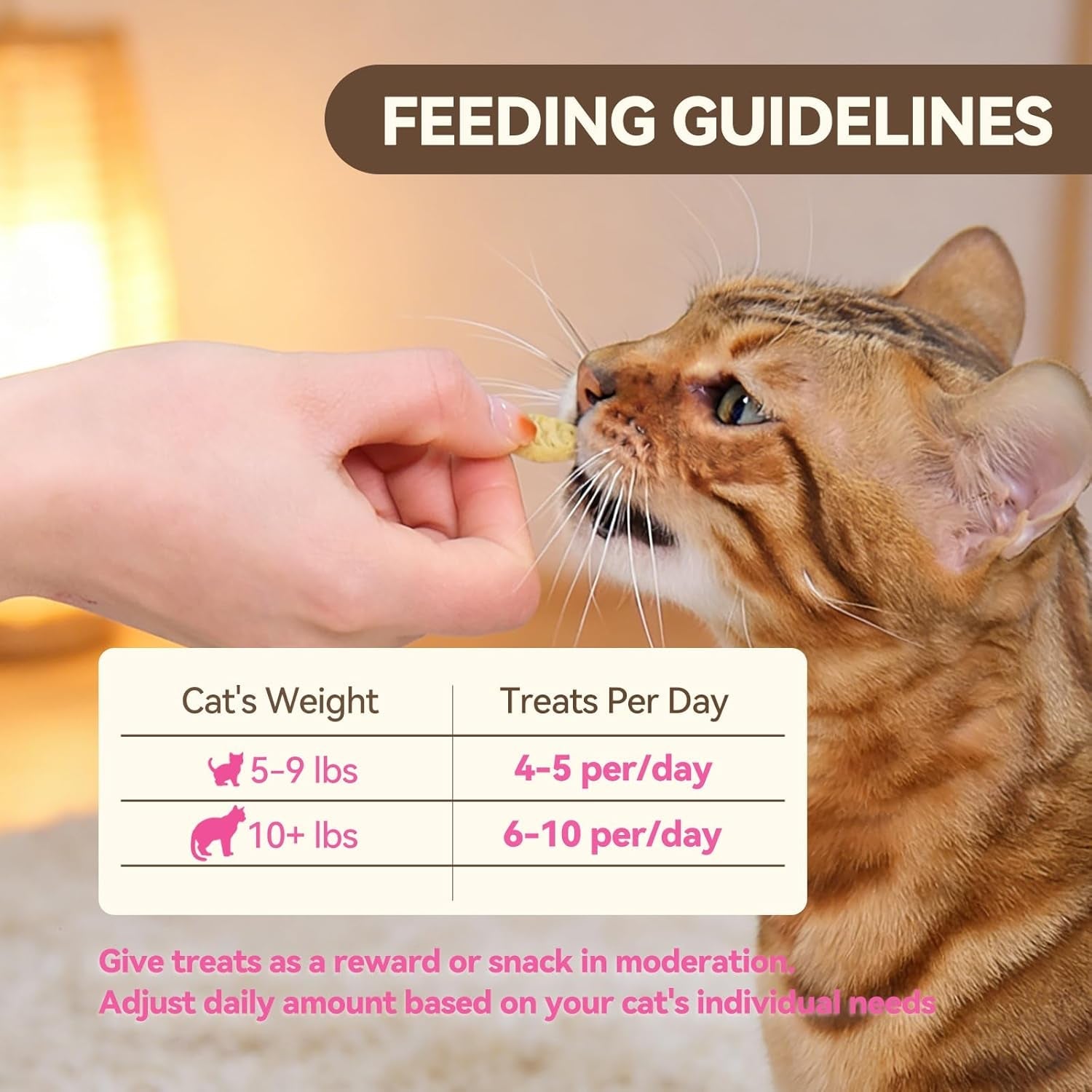 catnip-cat-treats-chicken-salmon-flavor-crunchy-bites-16-oz-catnip-infused-fish-shaped-biscuits-with-chicken-and-salmon-flavors-made-for-training-rewarding-and-everyday-bonding
